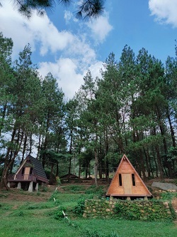 Bukit Pinus Paseban Camp